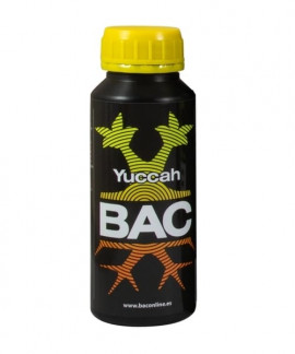 Yuccah de BAC