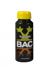 Yuccah de BAC