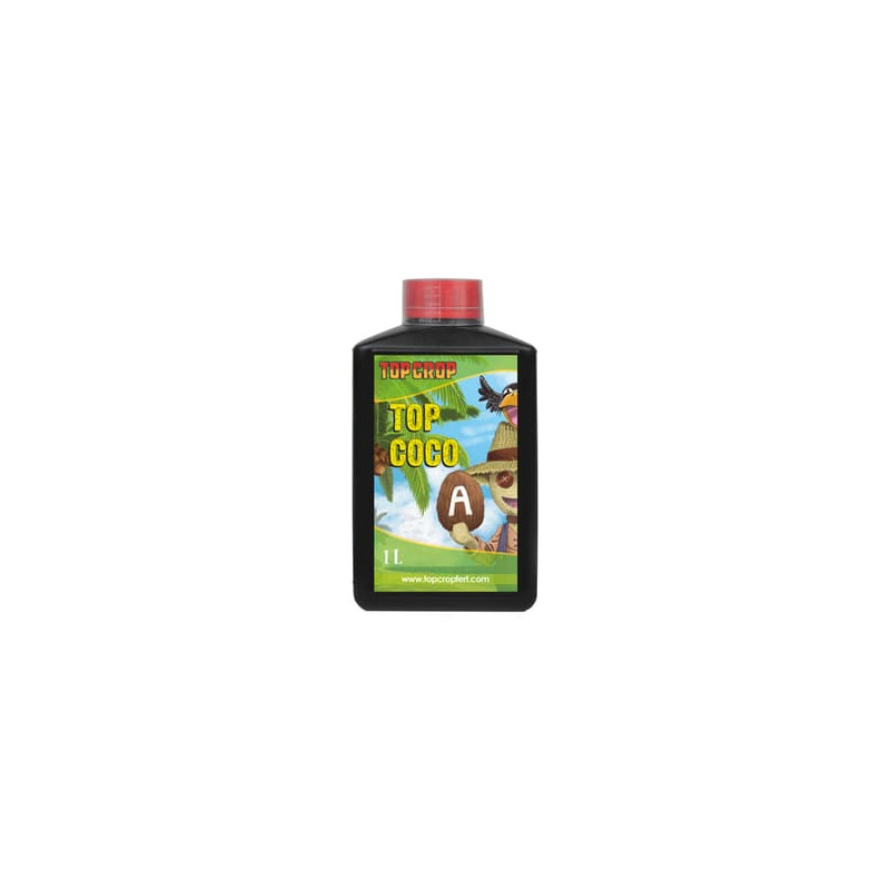Top Coco A+B