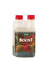 Boost Accelerator - Canna