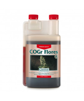 COGr Flores A+B