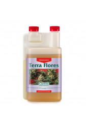 Terra Flores Canna