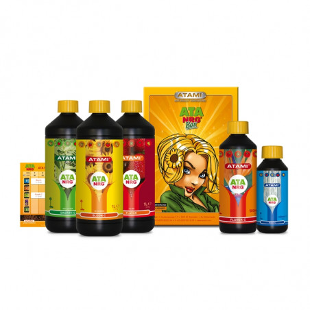 ATA Organix Box