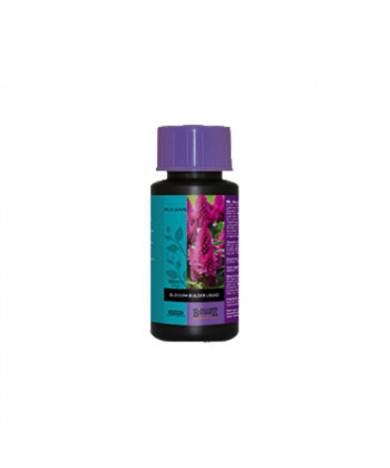 Blossom Builder Liquid