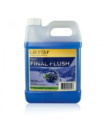 Final Flush Frutas Bosque