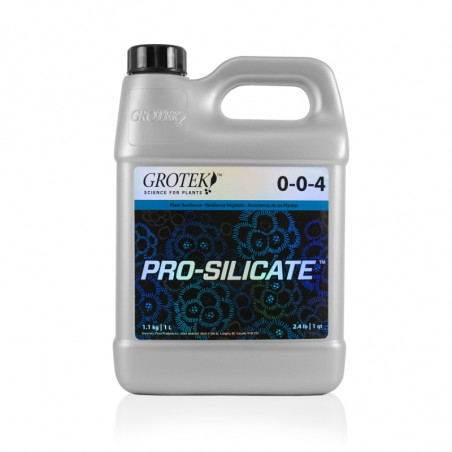 Pro Silicate Pro Silicate