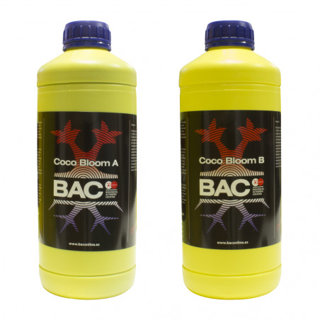 Coco Bloom A+B Coco Bloom A+B