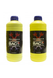 Coco Bloom A+B - BAC