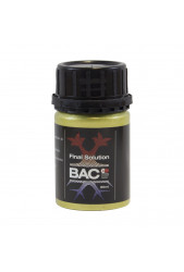 Final Solution - BAC