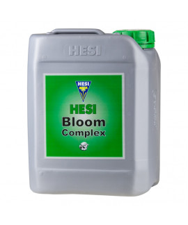 Bloom Complex