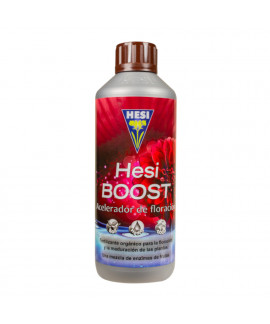 Hesi Boost