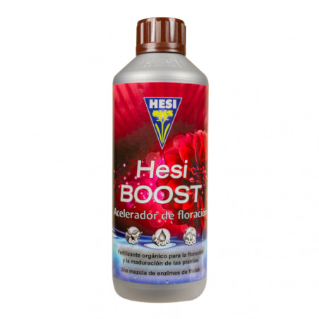 Hesi Boost Hesi Boost