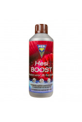 Hesi Boost