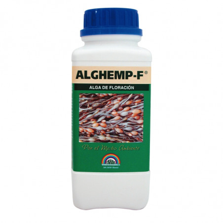 Alghemp Floracion Alghemp Floracion