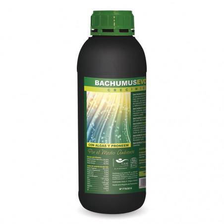 Bachumus Evolution Crecimiento Bachumus Evolution Crecimiento