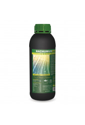 Bachumus Evolution Crecimiento de Trabe