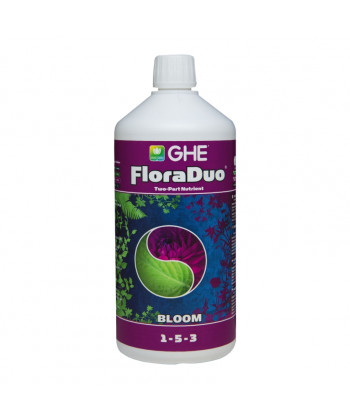 Flora Duo Bloom
