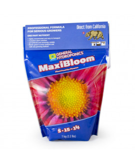 Maxibloom