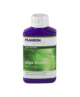 Alga-Bloom