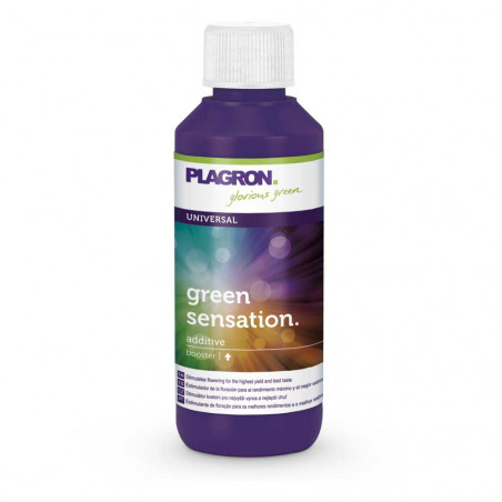 Green Sensation Green Sensation