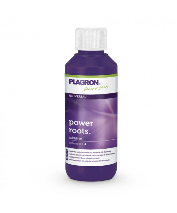 Power Roots