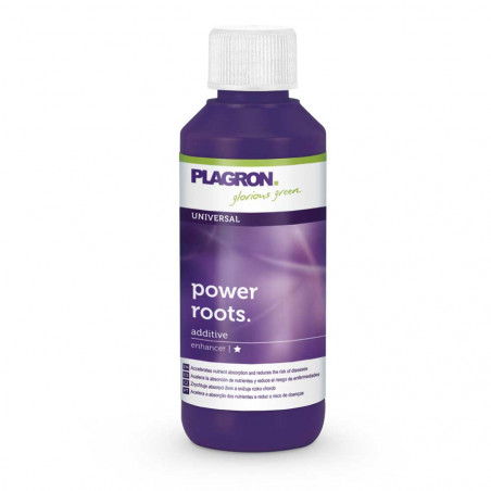 Power Roots Power Roots
