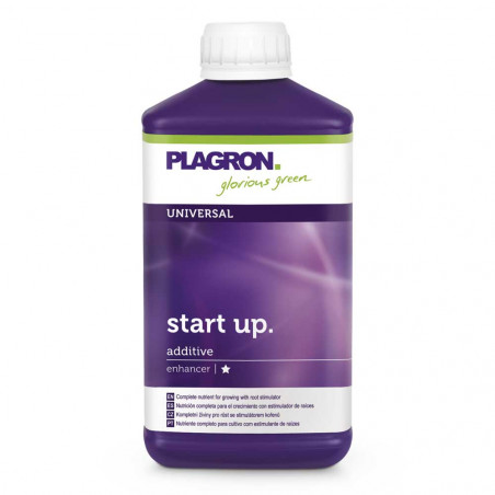 Start Up Start Up