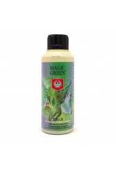 Magic Green de House & Garden