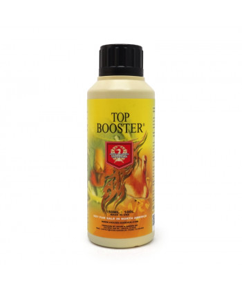 Top Booster
