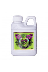 Big Bud - Advanced Nutrients