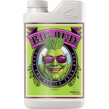 Big Bud