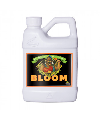 Bloom pH perfect