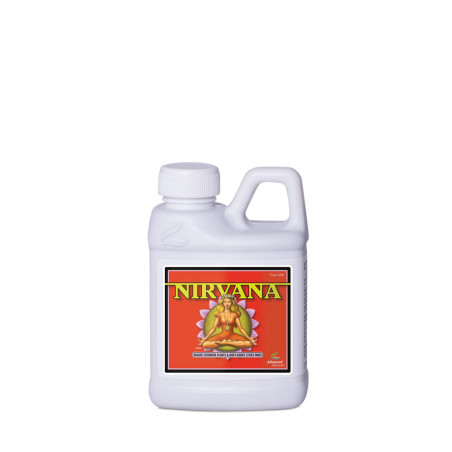 Nirvana