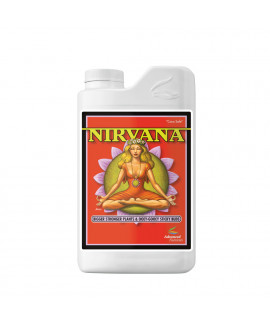 Nirvana