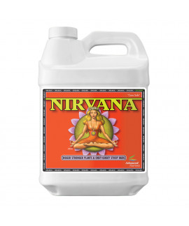 Nirvana