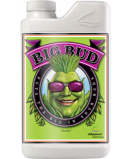 Big Bud