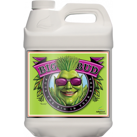 Big Bud