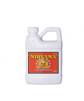 Nirvana