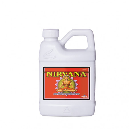 Nirvana