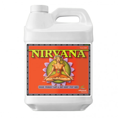 Nirvana