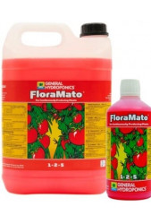 Flora Mato de GHE