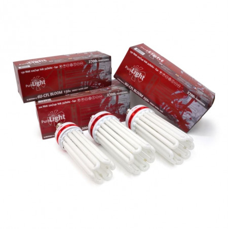 Bombilla Pure Light CFL Bloom Bombilla Pure Light CFL Bloom
